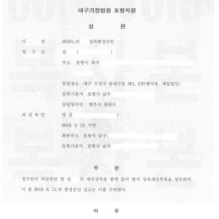 대구한정승인 결정 #8