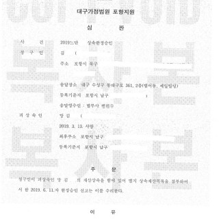 대구한정승인 결정 #9